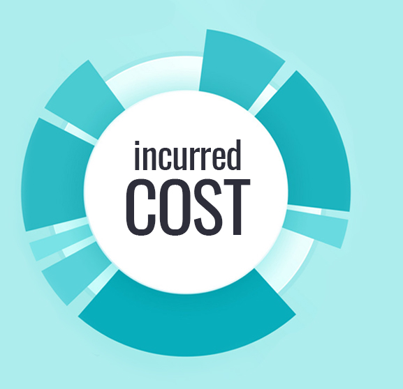 incured Cost for Canada immigration application